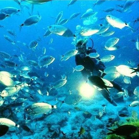 Апартаменты Bajo Playazo Jimena 6 Нерха Экстерьер фото